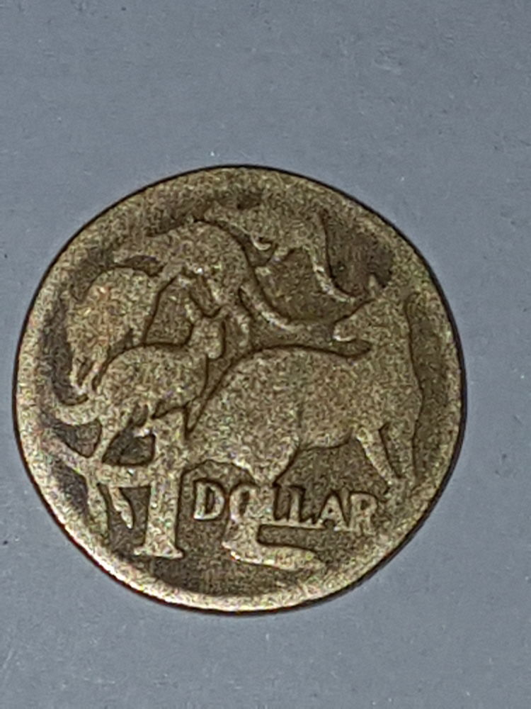 Strange-$1dollar-Coin